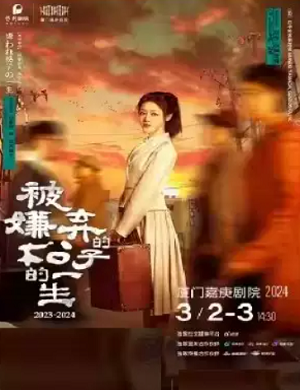 话剧《被嫌弃的松子的一生》厦门站