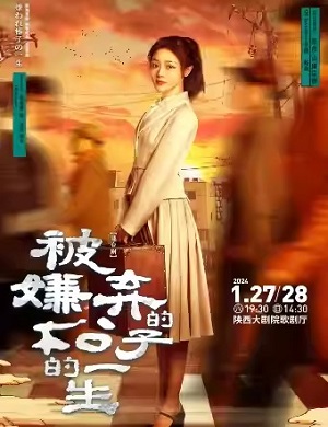 舞台剧《被嫌弃的松子的一生》西安站
