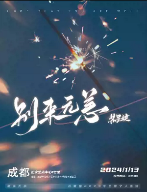 2025苏星婕成都演唱会