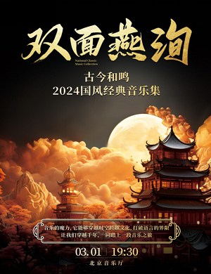 2025音乐会双面燕洵北京站
