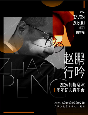 2025赵鹏南宁演唱会