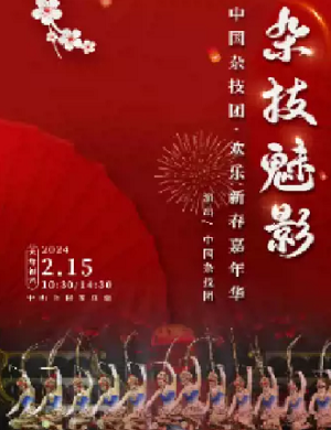 2025中国杂技团北京专场
