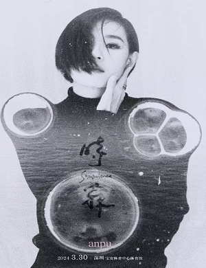 安溥深圳演唱会