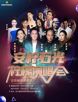 2025安柠石光·柠檬资阳群星演唱会
