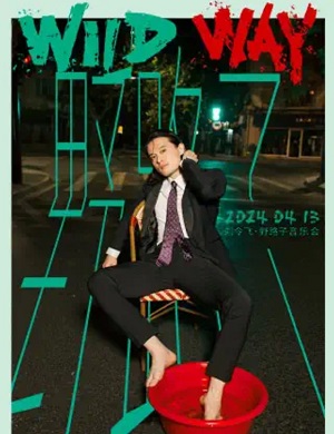 刘令飞深圳音乐会