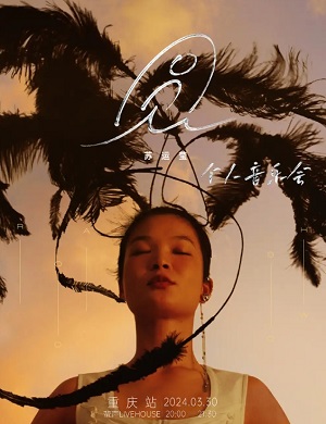 苏运莹重庆演唱会