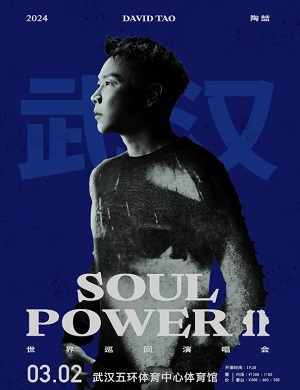 2025陶喆武汉演唱会