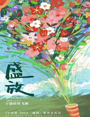 TF家族重庆演唱会