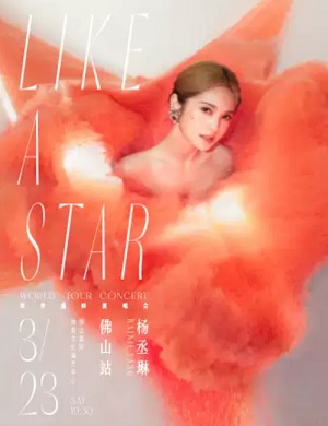 杨丞琳佛山演唱会