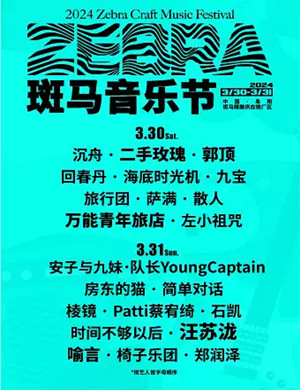 2025阜阳斑马音乐节