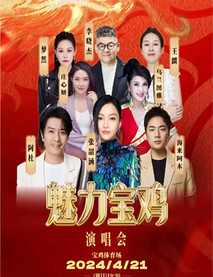 魅力宝鸡群星演唱会