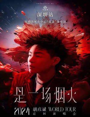 胡彦斌深圳演唱会