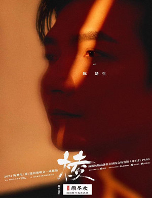 陈楚生成都演唱会