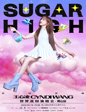 王心凌佛山演唱会