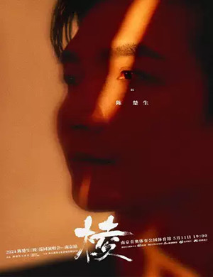 陈楚生南京演唱会