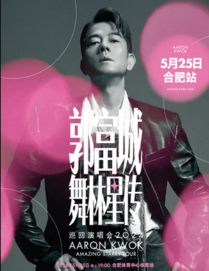 郭富城合肥演唱会