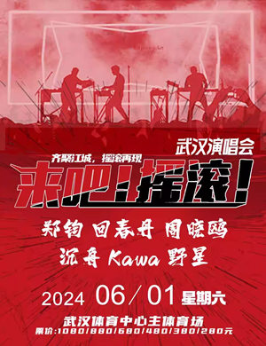 武汉《来吧摇滚》群星演唱会