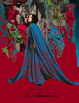 徐佳莹长沙演唱会