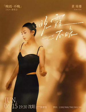 2025黄绮珊沈阳演唱会