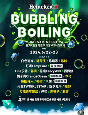 2025贵阳泡泡岛音乐与艺术节