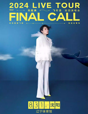 刘若英沈阳演唱会