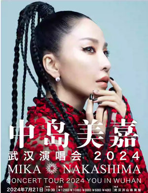 中岛美嘉武汉演唱会