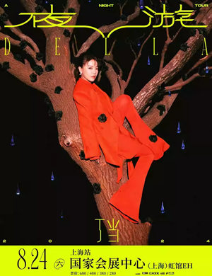 丁当上海演唱会