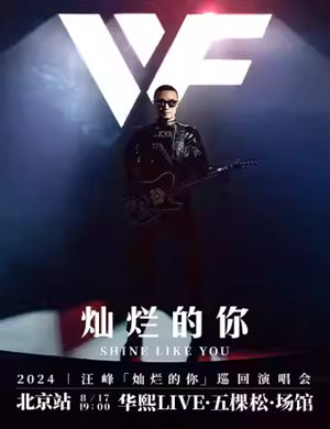 汪峰北京演唱会