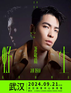 2025萧敬腾北京演唱会