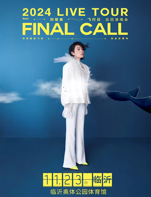2025刘若英临沂演唱会