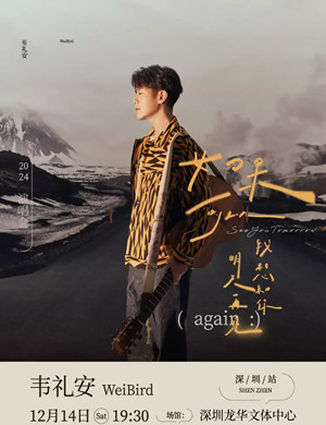 2025韦礼安深圳演唱会