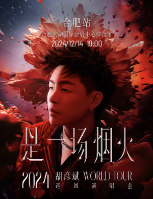 2025胡彦斌合肥演唱会
