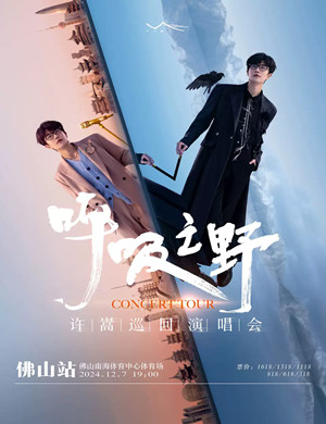 2025许嵩佛山演唱会