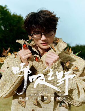 许嵩南京演唱会