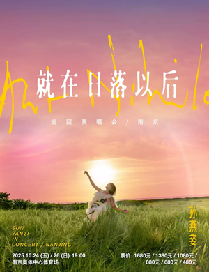 孙燕姿南京演唱会