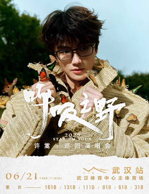 许嵩武汉演唱会