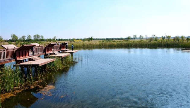 青岛莱西.涌泰湿地公园