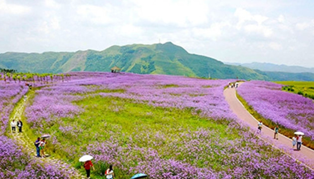 兴仁县放马坪景区