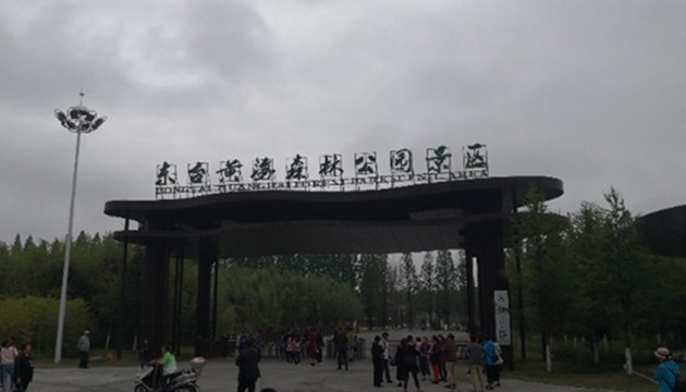 江苏黄海海滨国家森林公园