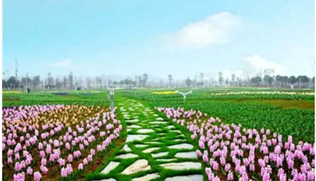 益阳云梦方舟七色花洲