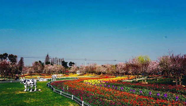 云澜湾·四季花海乐园