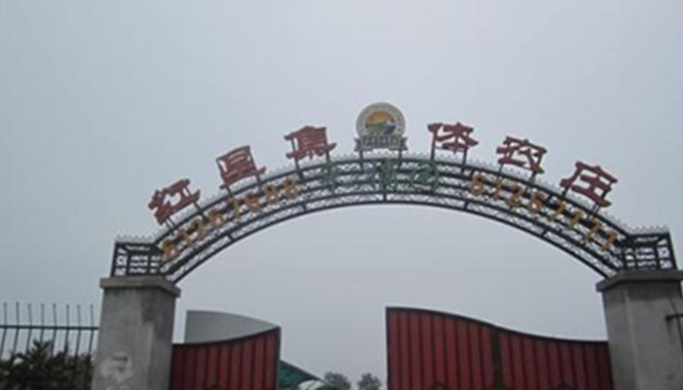 红星集体农庄