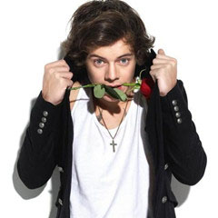 Harry Styles演唱会