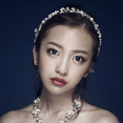 板野友美演唱会