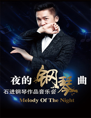 石进郑州音乐会