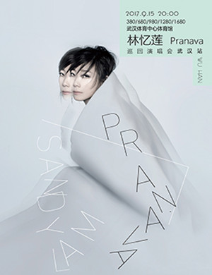 林忆莲武汉演唱会