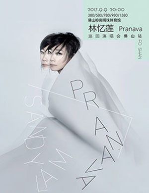 林忆莲佛山演唱会