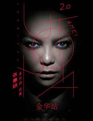 张惠妹金华演唱会