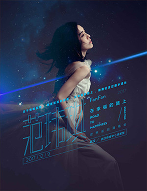 范玮琪武汉演唱会