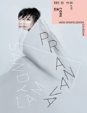 林忆莲合肥演唱会